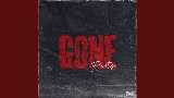 Ảnh thu nhỏ video Gone