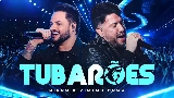 Ảnh thu nhỏ video Tubarões - Ao Vivo