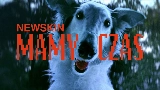 Ảnh thu nhỏ video MAMY CZAS
