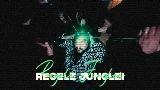 Ảnh thu nhỏ video Regele Junglei