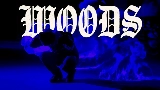 Ảnh thu nhỏ video WOODS