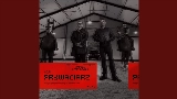 Ảnh thu nhỏ video Prywaciarz