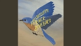 Ảnh thu nhỏ video Mississippi River Bluebird