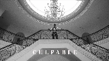Ảnh thu nhỏ video Culpable