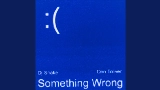 Ảnh thu nhỏ video Something Wrong (with Don Toliver)