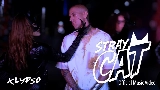 Ảnh thu nhỏ video Stray Cat