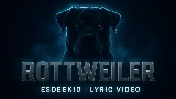 Ảnh thu nhỏ video Rottweiler