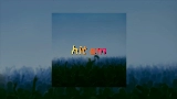 Ảnh thu nhỏ video Hit Em