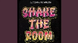 Ảnh thu nhỏ video Shake The Room