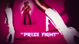 Ảnh thu nhỏ video prize fight