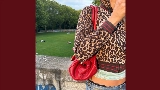 Ảnh thu nhỏ video Leopard