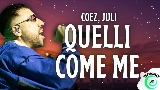 Ảnh thu nhỏ video Quelli come me