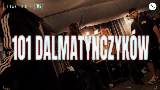 Ảnh thu nhỏ video 101 DALMATYŃCZYKÓW