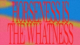 Ảnh thu nhỏ video Horseness Is The Whatness