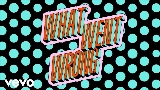 Ảnh thu nhỏ video What Went Wrong