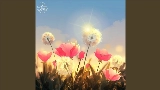 Ảnh thu nhỏ video Warm Feelings