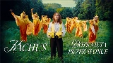 Ảnh thu nhỏ video Dotknięta przez słońce
