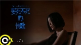 Ảnh thu nhỏ video 要死不死的情歌