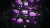 Ảnh thu nhỏ video Video Shoot