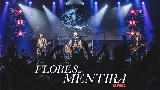 Ảnh thu nhỏ video Flores de mentira