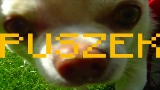 Ảnh thu nhỏ video TO PIPY