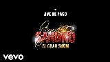 Ảnh thu nhỏ video Ave de Paso
