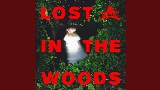 Ảnh thu nhỏ video Lost In The Woods