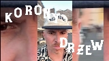 Ảnh thu nhỏ video Korony drzew