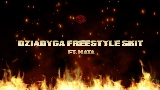 Ảnh thu nhỏ video Dziadyga Freestyle SKIT