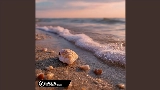 Ảnh thu nhỏ video I Adore You