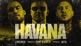 Ảnh thu nhỏ video Havana