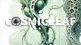 Ảnh thu nhỏ video World of fungi