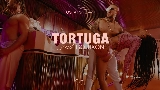 Ảnh thu nhỏ video Tortuga