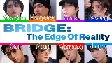 Ảnh thu nhỏ video Bridge : The Edge of Reality