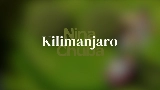 Ảnh thu nhỏ video Kilimanjaro