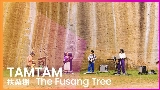 Ảnh thu nhỏ video 扶桑樹 - The Fusang Tree