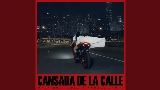 Ảnh thu nhỏ video Cansada De La Calle