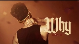 Ảnh thu nhỏ video WHY