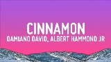 Ảnh thu nhỏ video Cinnamon (feat. Albert Hammond Jr)