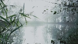 Ảnh thu nhỏ video reverie
