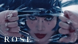 Ảnh thu nhỏ video ROSE