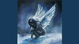 Ảnh thu nhỏ video Angels