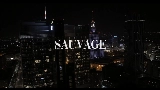 Ảnh thu nhỏ video SAUVAGE