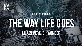 Ảnh thu nhỏ video The Way Life Goes