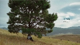 Ảnh thu nhỏ video Daylight